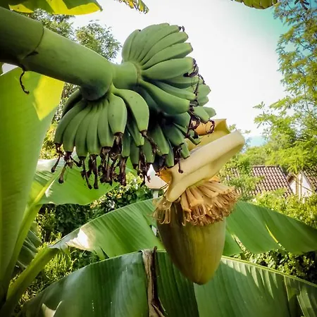 Il Giardino Delle Farfalle Отель типа 