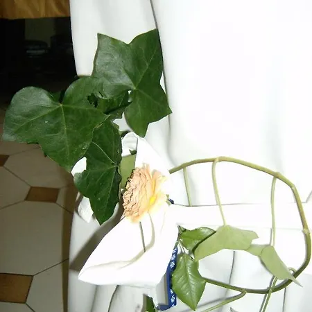 Il Giardino Delle Farfalle 2*