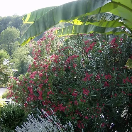Il Giardino Delle Farfalle 2*