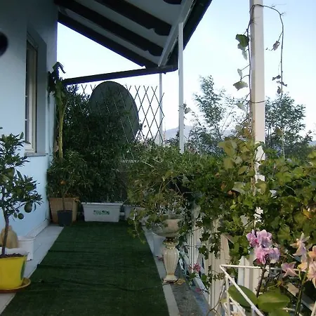 Il Giardino Delle Farfalle