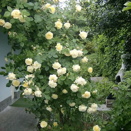 Il Giardino Delle Farfalle Отель типа 